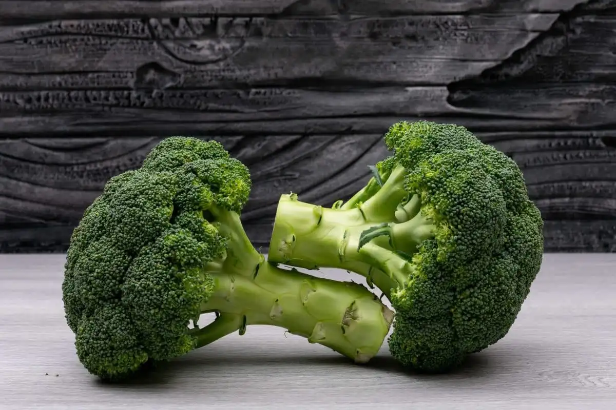 Broccoli Seed Extract in Anti-Aging and Longevity Supplements